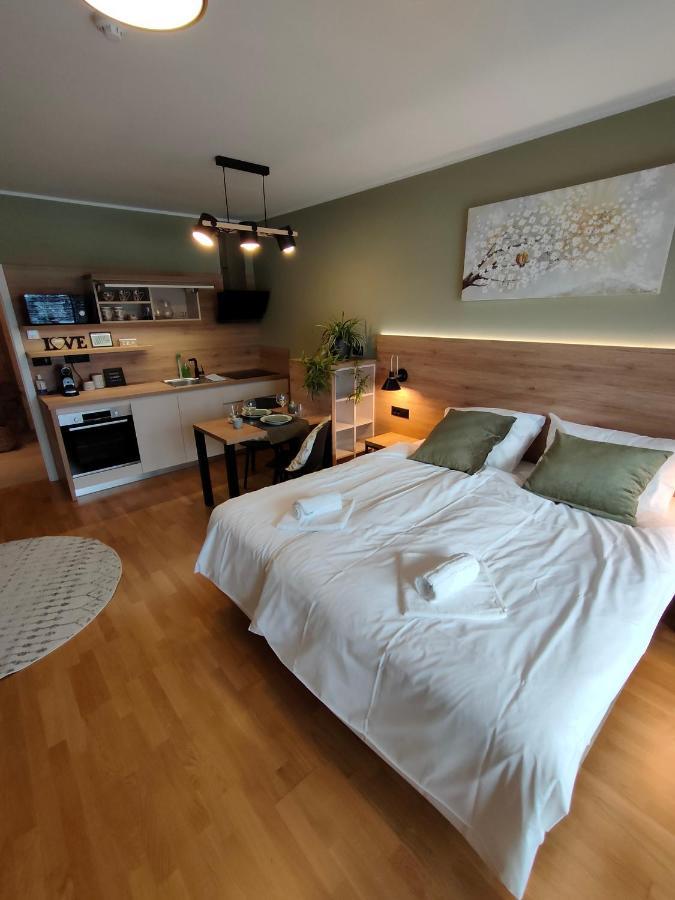 Bed & Breakfast Rezidenca Pipanova Λιουμπλιάνα Εξωτερικό φωτογραφία